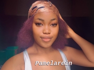 Pamelarein