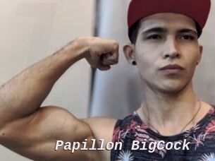 Papillon_BigCock