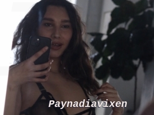Paynadiavixen