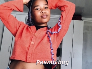 Peanutbug
