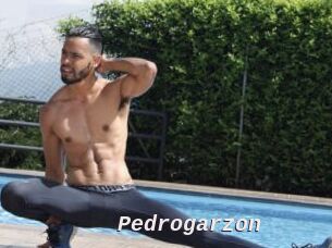 Pedrogarzon