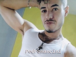 pedromancini Live Camgirls Sex