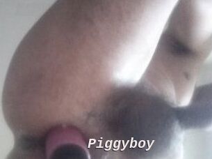Piggyboy