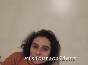 Pisicutacalient