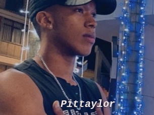 pittaylor Live Camgirls Sex