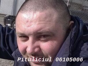 Pituliciul-06105006