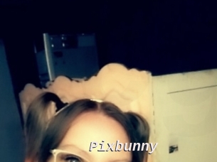 Pixbunny