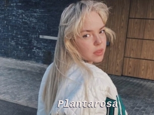 Plantarosa