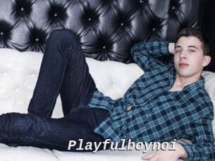 Playfulboynoi