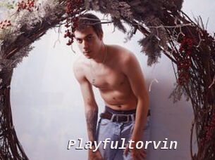 Playfultorvin