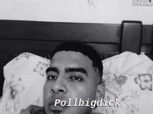 pollbigdick Live Camgirls Sex