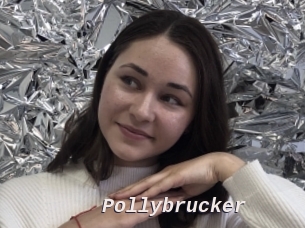 Pollybrucker