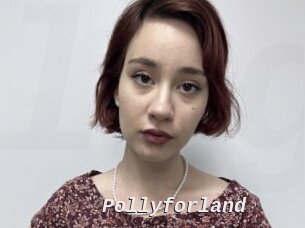 Pollyforland