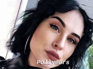 Pollymurs