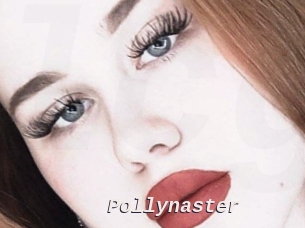 Pollynaster