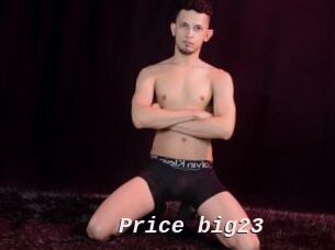 Price_big23