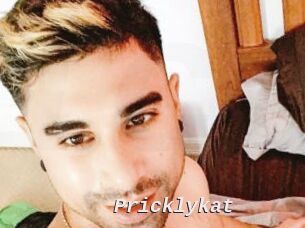 Pricklykat