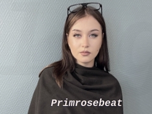 primrosebeat Live Camgirls Sex