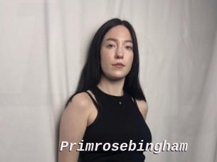 Primrosebingham