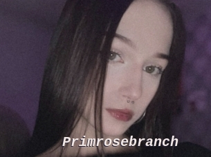 Primrosebranch