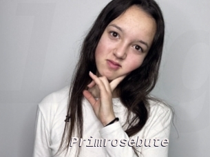 primrosebute Live Camgirls Sex