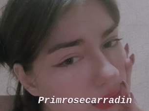 Primrosecarradin