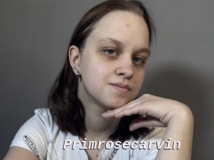Primrosecarvin