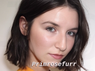 Primrosefurr