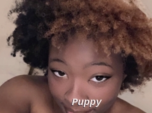 Puppy