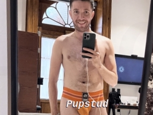 Pupstud