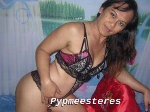Pypmeesteres