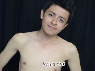 RACCOO