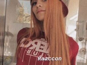 Raaccon