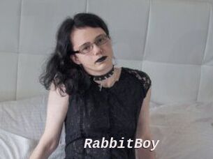 RabbitBoy