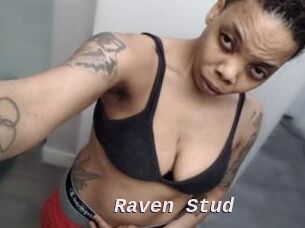Raven_Stud