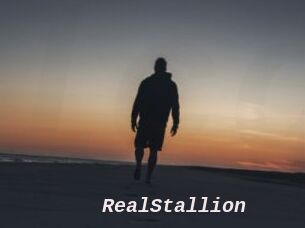 RealStallion