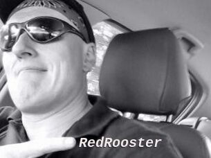RedRooster