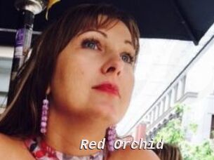 Red_Orchid