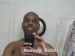 Rodney_Rabbit