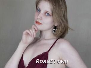 RosaBrown