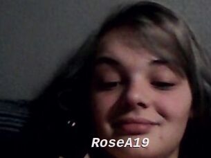 RoseA19