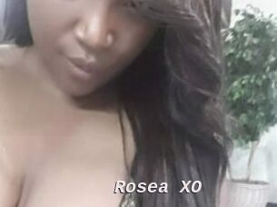 Rosea_XO