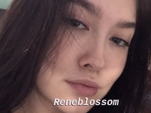 Reneblossom