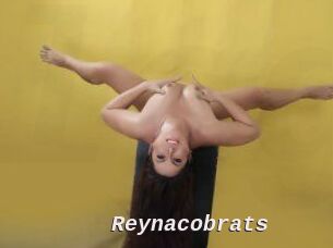Reynacobrats