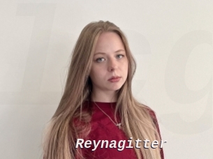 Reynagitter