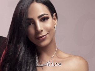 Rice