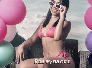 Rileynacci