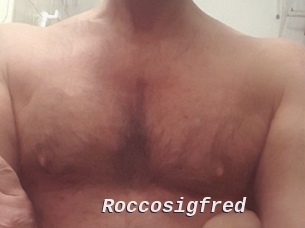 Roccosigfred
