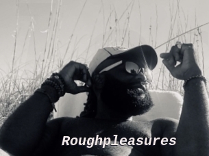 Roughpleasures