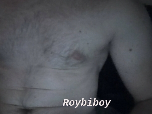 Roybiboy